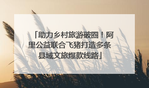 助力乡村旅游破圈！阿里公益联合飞猪打造多条县域文旅爆款线路