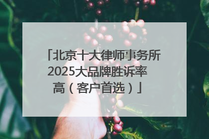 北京十大律师事务所2025大品牌胜诉率高（客户首选）