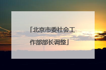 北京市委社会工作部部长调整