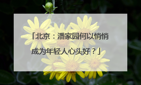 北京：潘家园何以悄悄成为年轻人心头好？