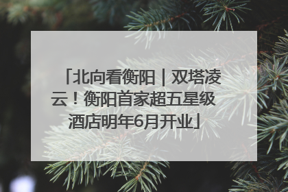 北向看衡阳｜双塔凌云！衡阳首家超五星级酒店明年6月开业