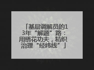基层调解员的13年“解题”路：用绣花功夫，精织治理“经纬线”