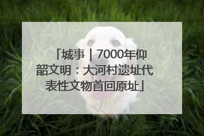 城事｜7000年仰韶文明：大河村遗址代表性文物首回原址