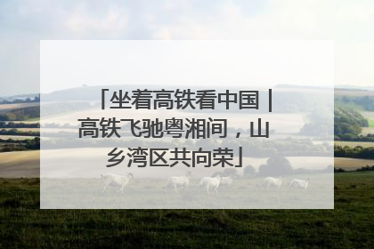 坐着高铁看中国｜高铁飞驰粤湘间，山乡湾区共向荣