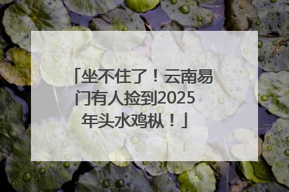 坐不住了！云南易门有人捡到2025年头水鸡枞！