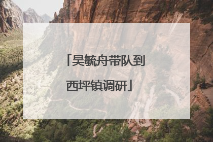 吴毓舟带队到西坪镇调研