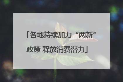各地持续加力“两新”政策 释放消费潜力