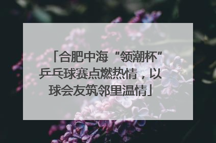 合肥中海“领潮杯”乒乓球赛点燃热情，以球会友筑邻里温情