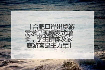 合肥口岸出境游需求呈现爆发式增长，学生群体及家庭游客是主力军
