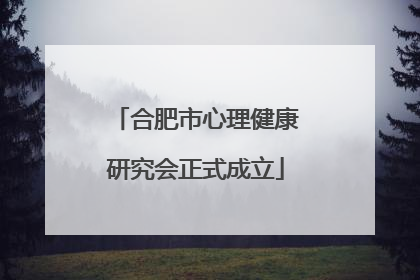 合肥市心理健康研究会正式成立