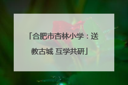 合肥市杏林小学：送教古城 互学共研