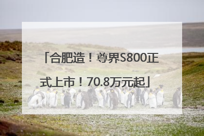 合肥造！尊界S800正式上市！70.8万元起