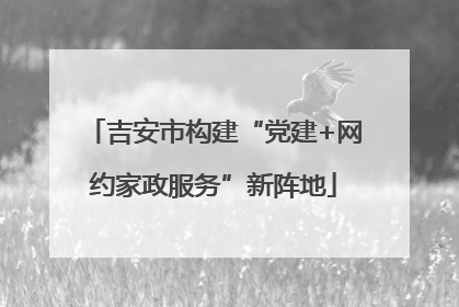 吉安市构建“党建+网约家政服务”新阵地
