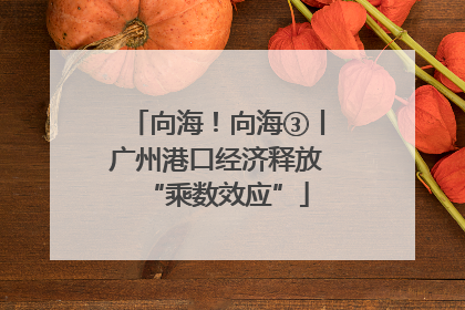向海！向海③丨广州港口经济释放“乘数效应”