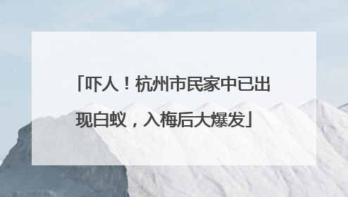 吓人！杭州市民家中已出现白蚁，入梅后大爆发