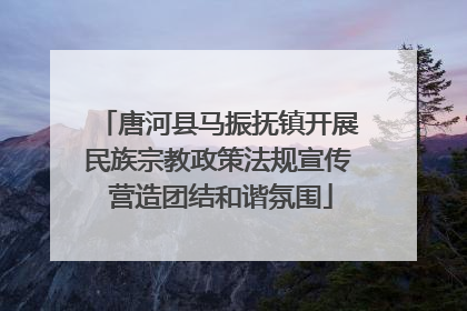 唐河县马振抚镇开展民族宗教政策法规宣传 营造团结和谐氛围
