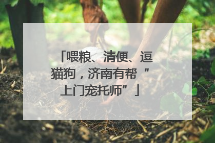 喂粮、清便、逗猫狗，济南有帮“上门宠托师”