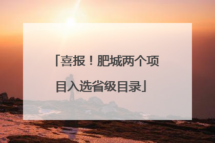 喜报！肥城两个项目入选省级目录