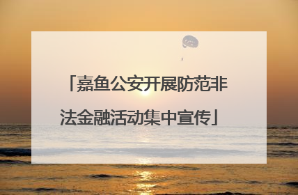 嘉鱼公安开展防范非法金融活动集中宣传