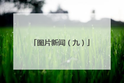 图片新闻（九）