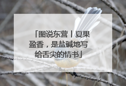 图说东营丨夏果盈香，是盐碱地写给舌尖的情书