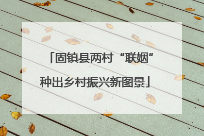 固镇县两村“联姻”种出乡村振兴新图景