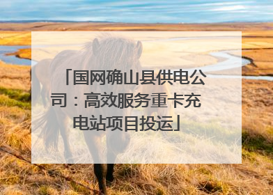 国网确山县供电公司：高效服务重卡充电站项目投运
