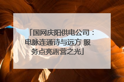 国网庆阳供电公司：电脉连通诗与远方 服务点亮露营之光