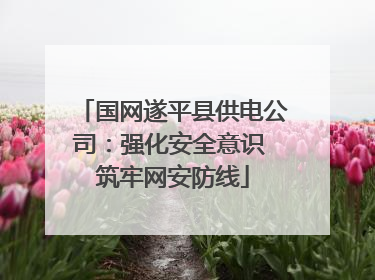国网遂平县供电公司：强化安全意识 筑牢网安防线