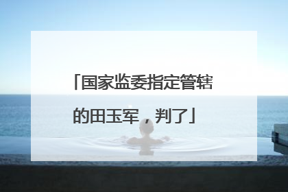 国家监委指定管辖的田玉军，判了