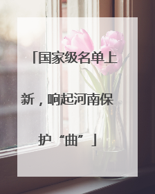 国家级名单上新，响起河南保护“曲”