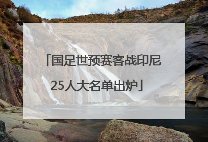 国足世预赛客战印尼25人大名单出炉
