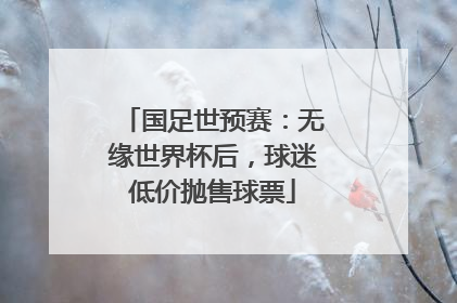 国足世预赛：无缘世界杯后，球迷低价抛售球票