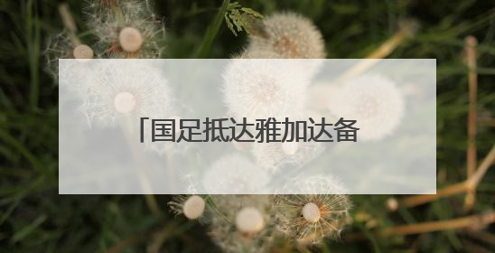 国足抵达雅加达备战世预赛18强赛
