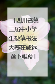四川省第三届中小学生硬笔书法大赛在威远落下帷幕