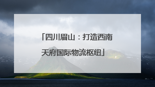 四川眉山：打造西南天府国际物流枢纽