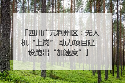 四川广元利州区：无人机“上岗” 助力项目建设跑出“加速度”