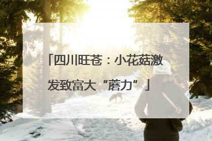 四川旺苍：小花菇激发致富大“蘑力”