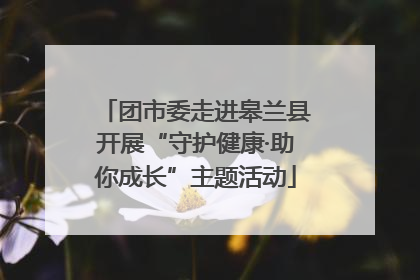 团市委走进皋兰县开展“守护健康·助你成长”主题活动