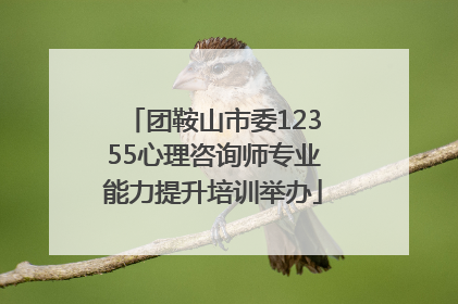 团鞍山市委12355心理咨询师专业能力提升培训举办