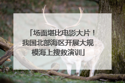 场面堪比电影大片！我国北部海区开展大规模海上搜救演训