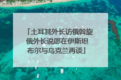 土耳其外长访俄斡旋 俄外长说愿在伊斯坦布尔与乌克兰再谈