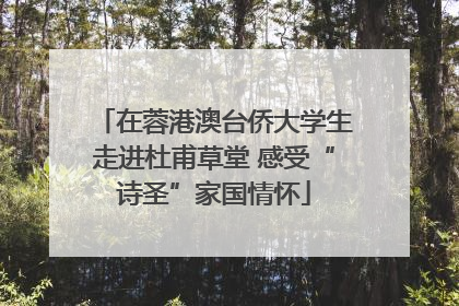 在蓉港澳台侨大学生走进杜甫草堂 感受“诗圣”家国情怀