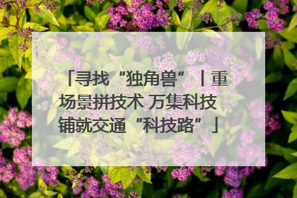 寻找“独角兽”丨重场景拼技术 万集科技铺就交通“科技路”