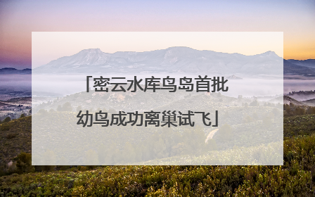 密云水库鸟岛首批幼鸟成功离巢试飞