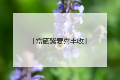 富硒紫麦喜丰收
