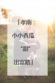 孝南：小小香瓜 “甜”出富路