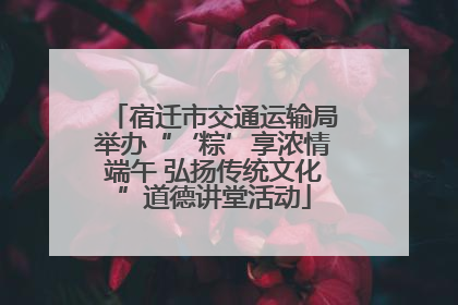 宿迁市交通运输局举办“‘粽’享浓情端午 弘扬传统文化”道德讲堂活动