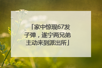 家中惊现67发子弹，遂宁两兄弟主动来到派出所