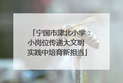 宁国市津北小学：小岗位传递大文明 实践中培育新担当